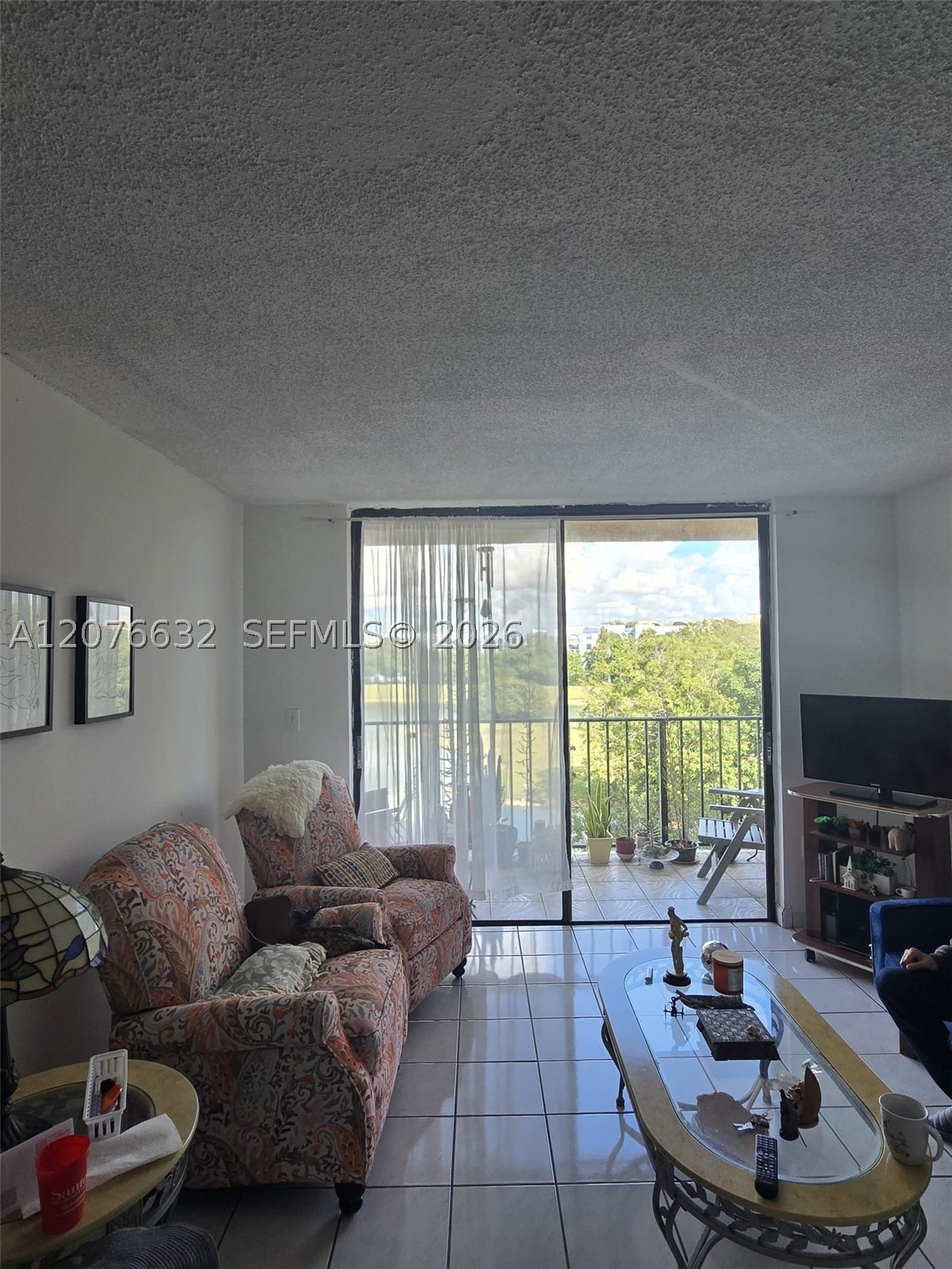 Miami photo 5