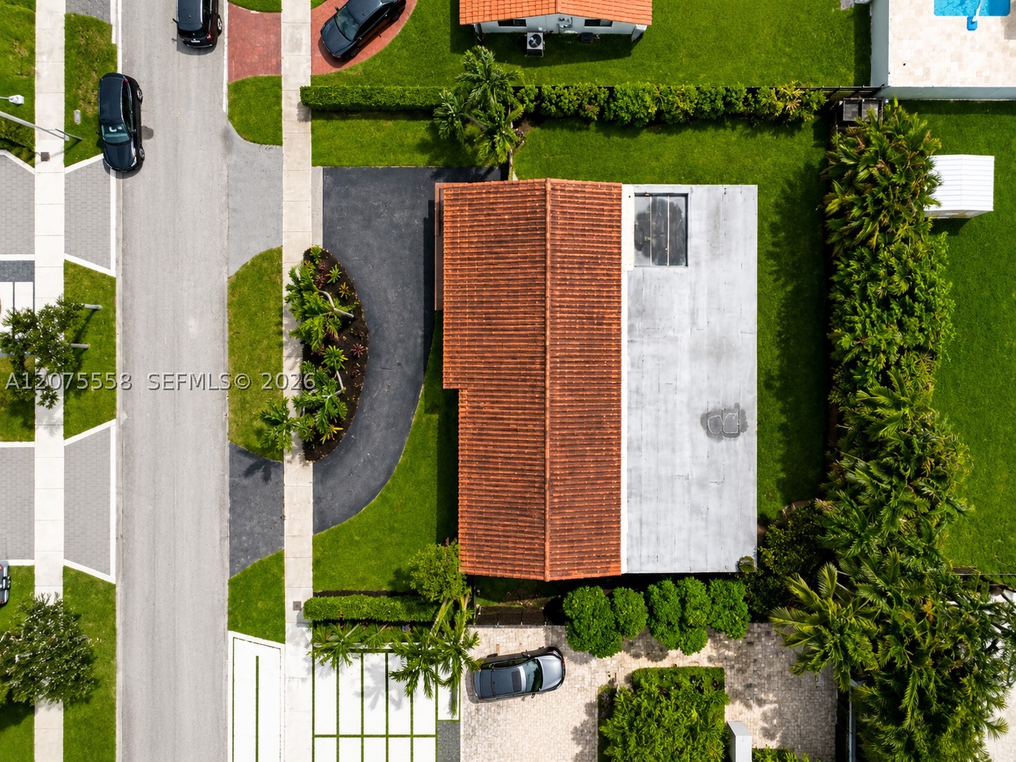 Miami photo 4
