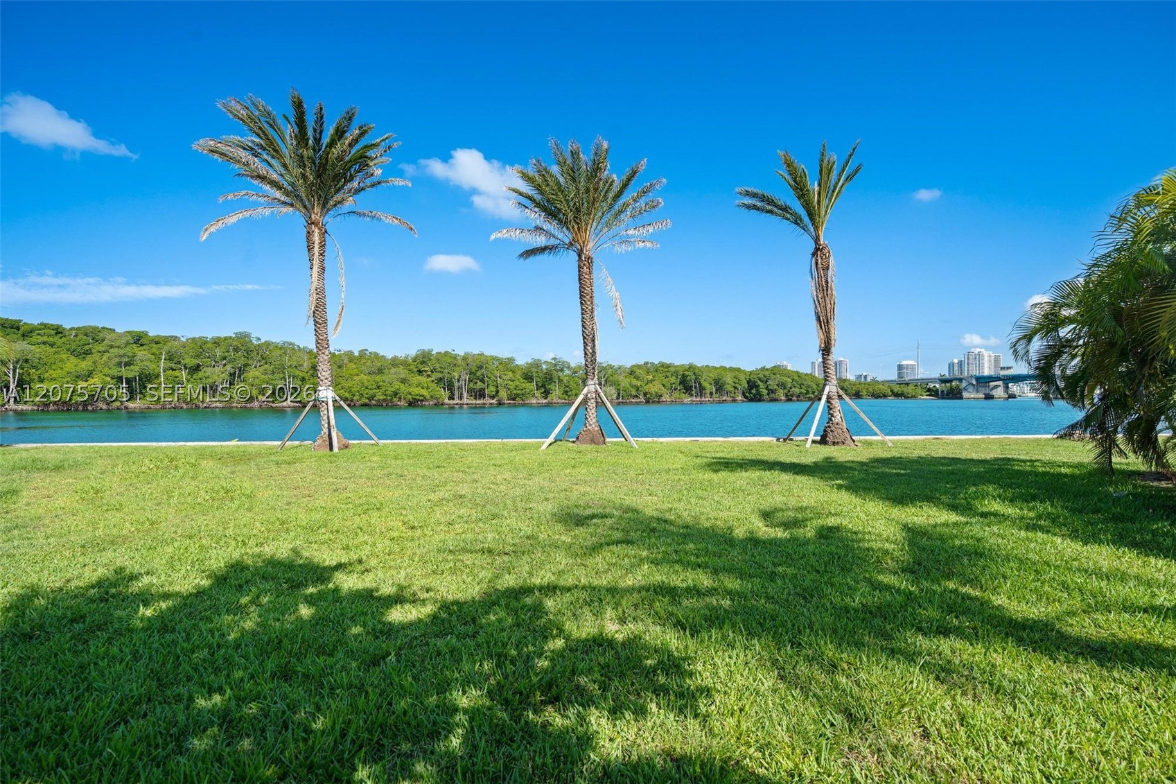 Sunny Isles Beach photo 4