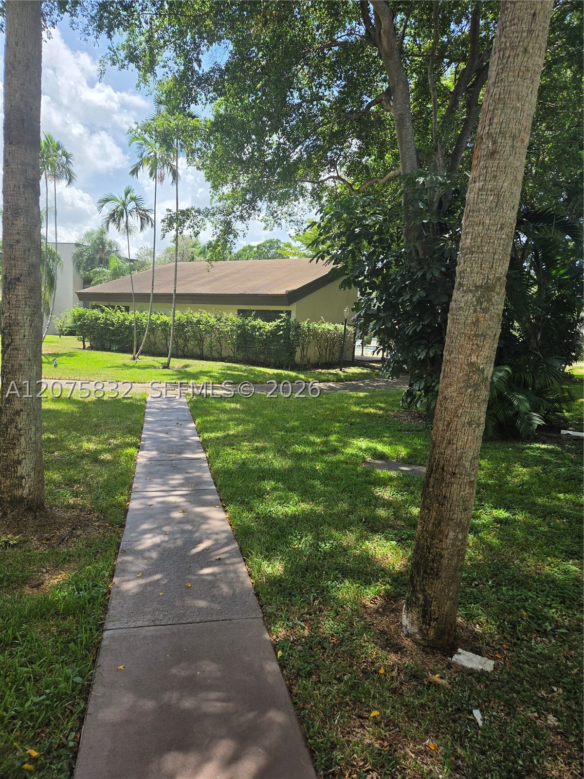 Plantation photo 2