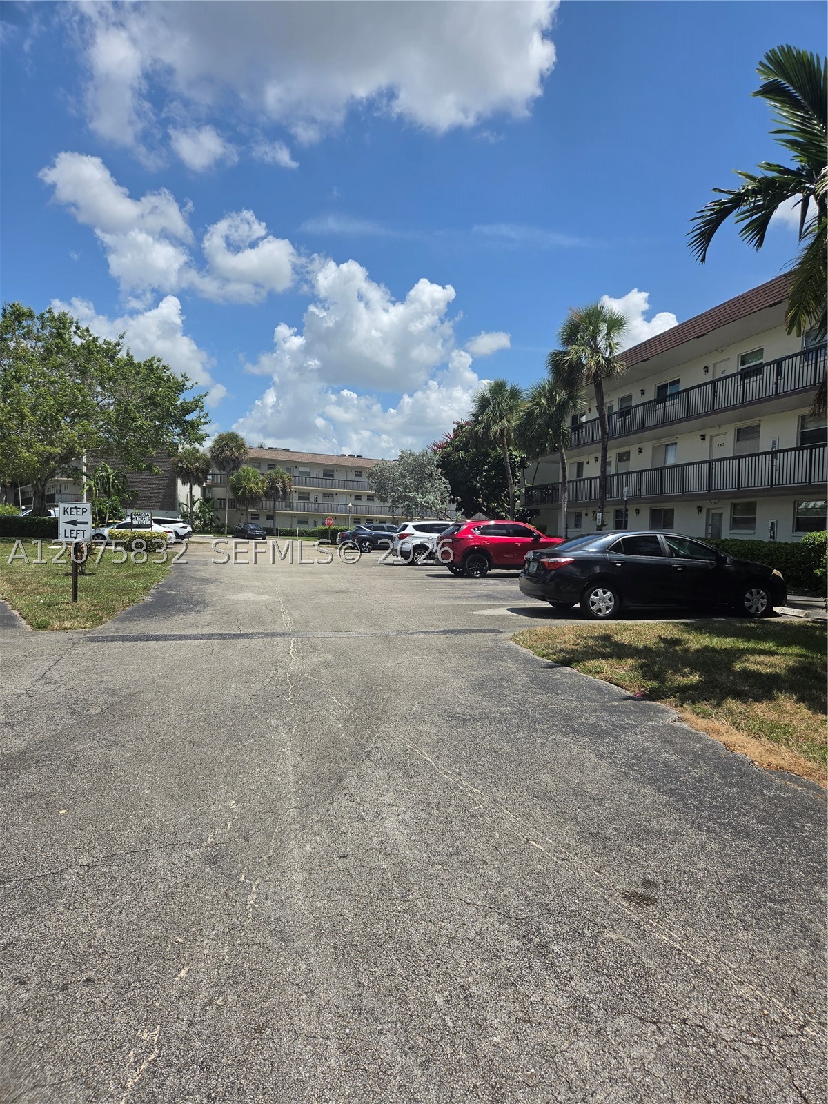 Plantation photo 3