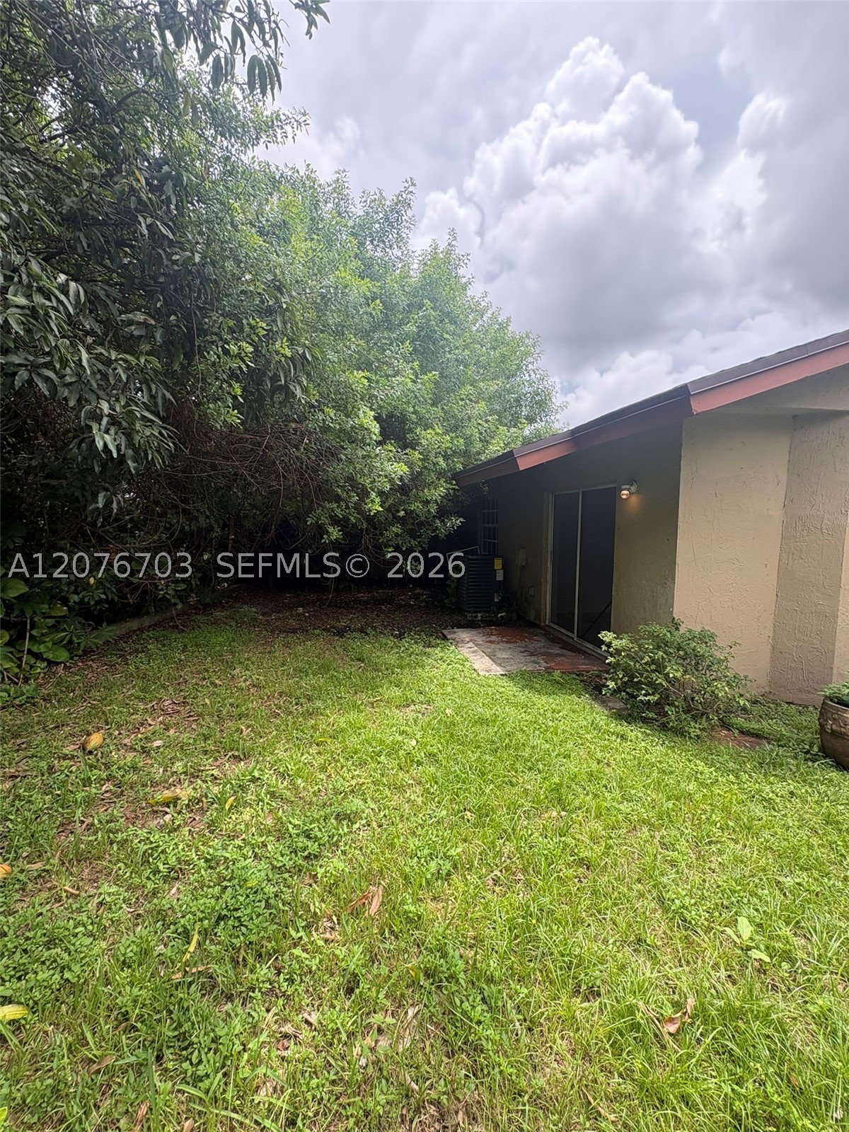 Miami photo 5