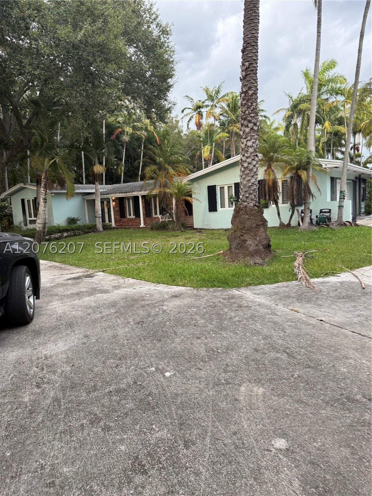 Pinecrest photo 1