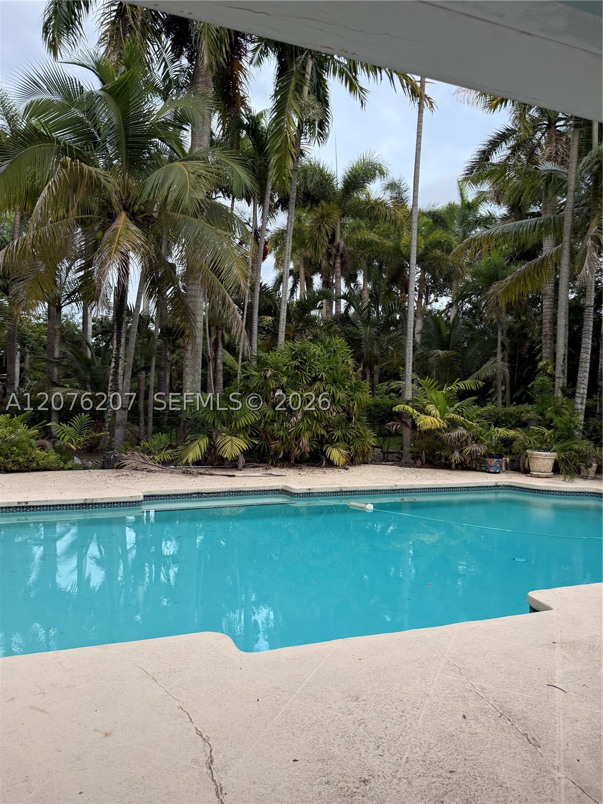 Pinecrest photo 3