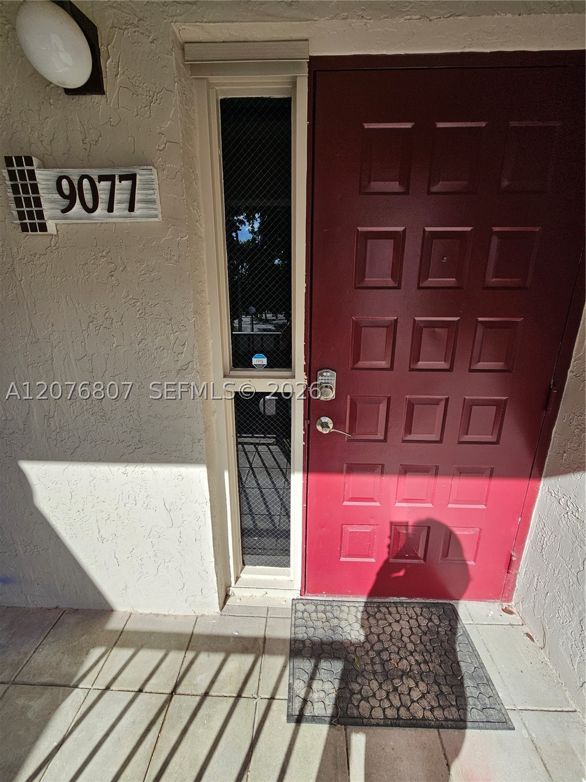 Miami photo 5