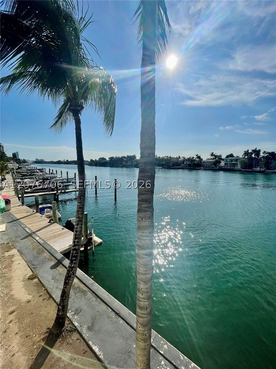 Miami Beach photo 4