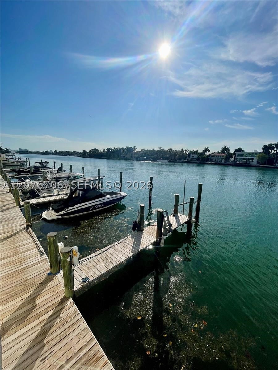 Miami Beach photo 1