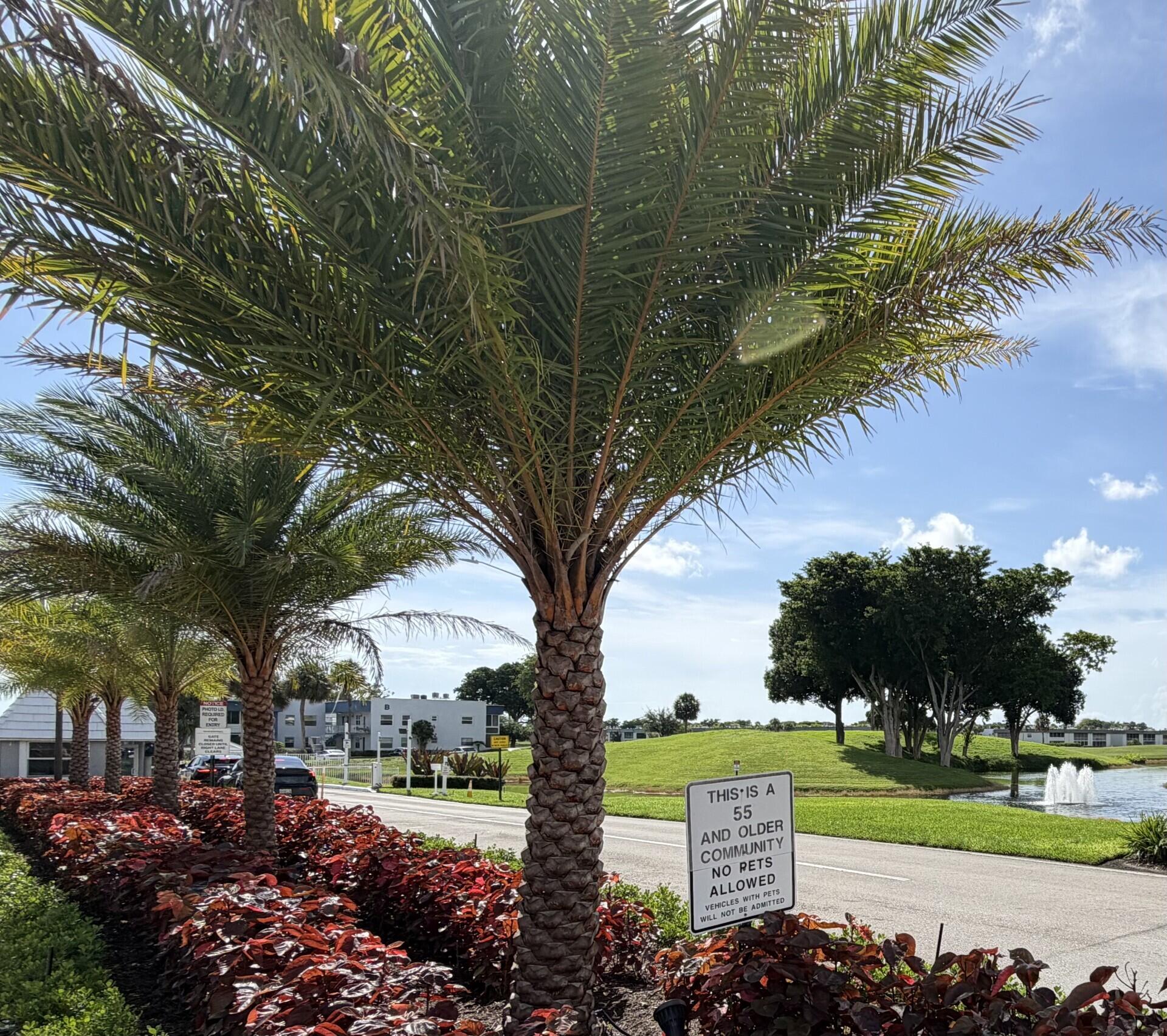 Delray Beach photo 2