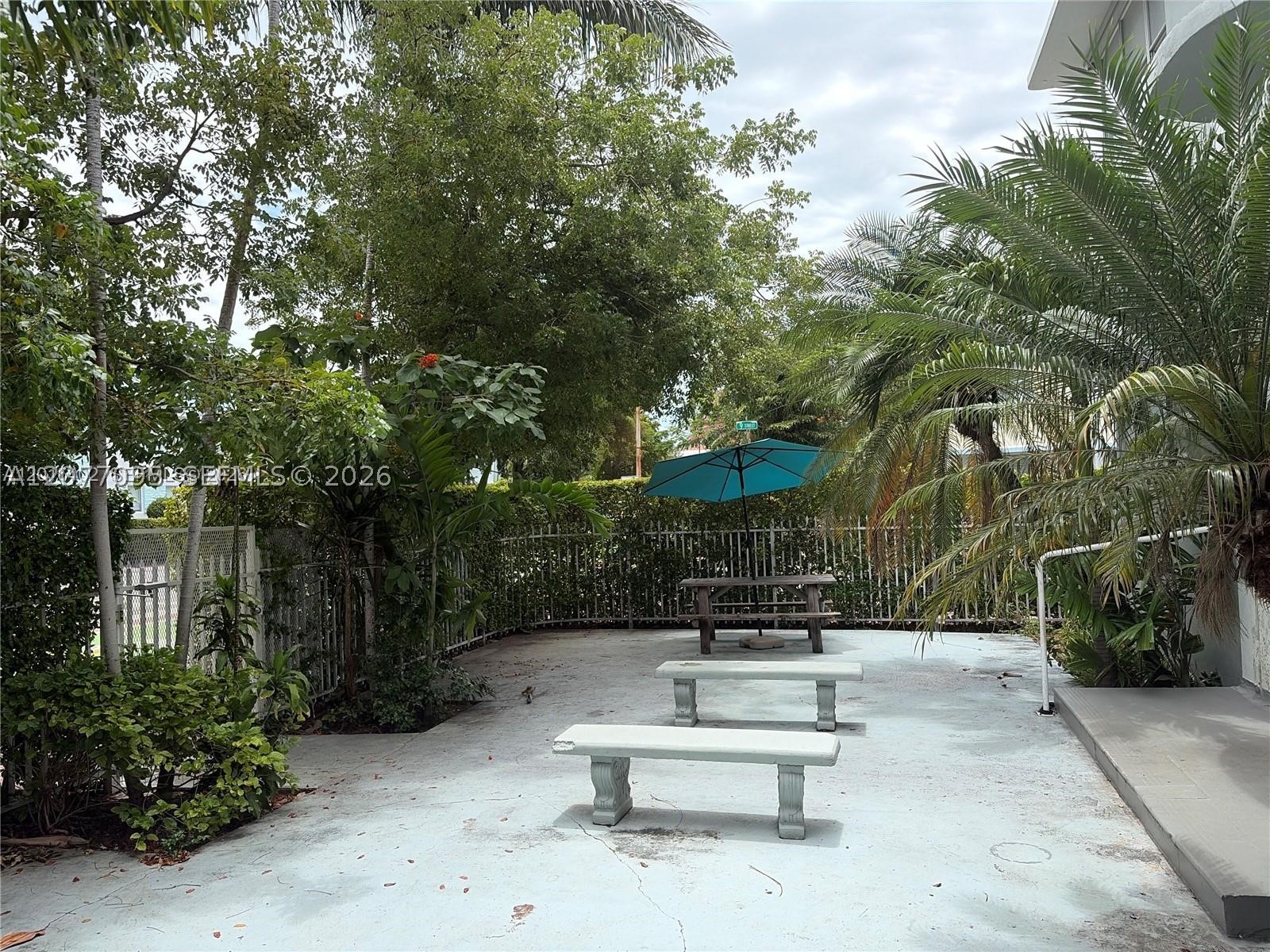 Miami Beach photo 3