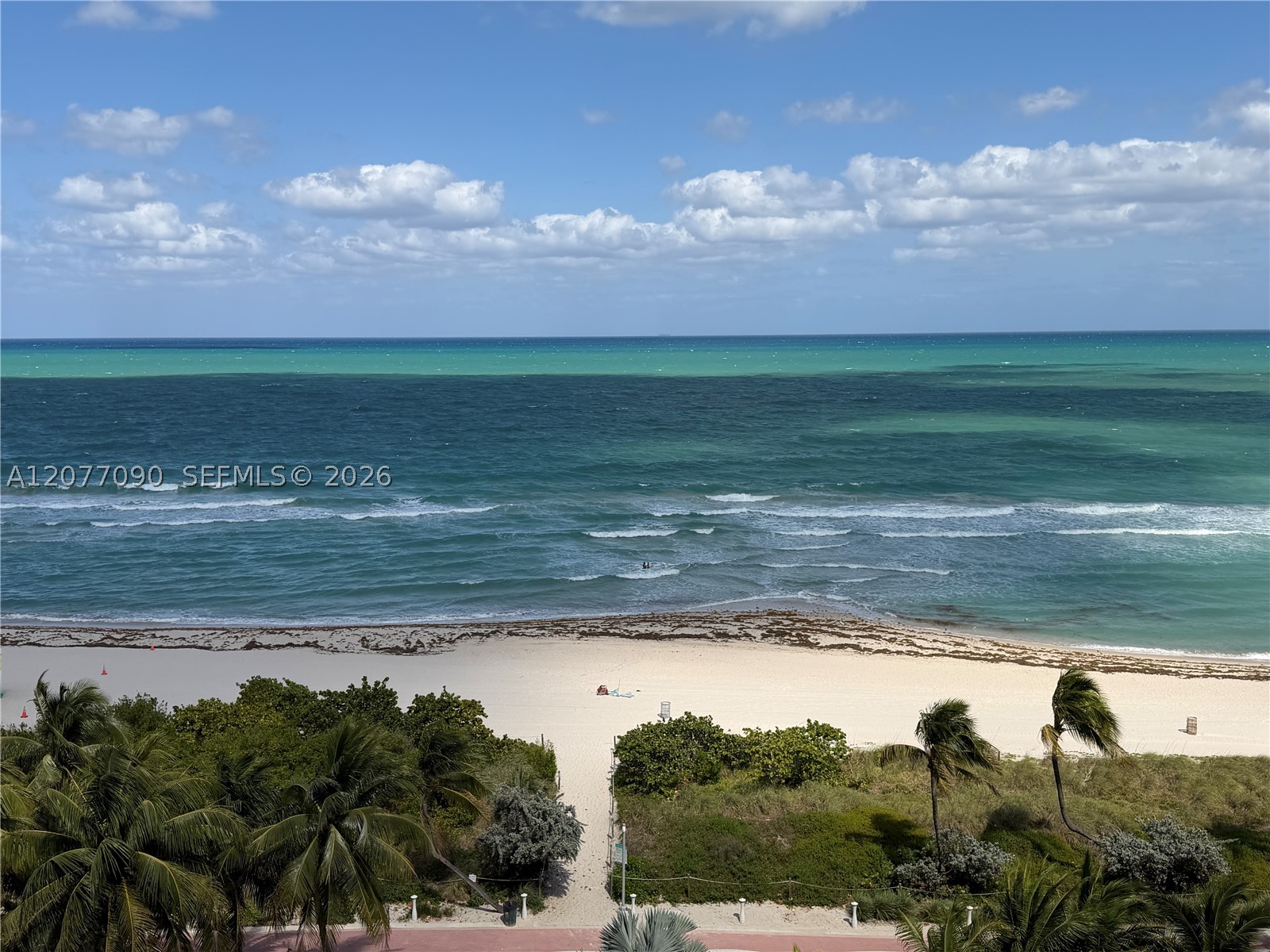 Miami Beach photo 3