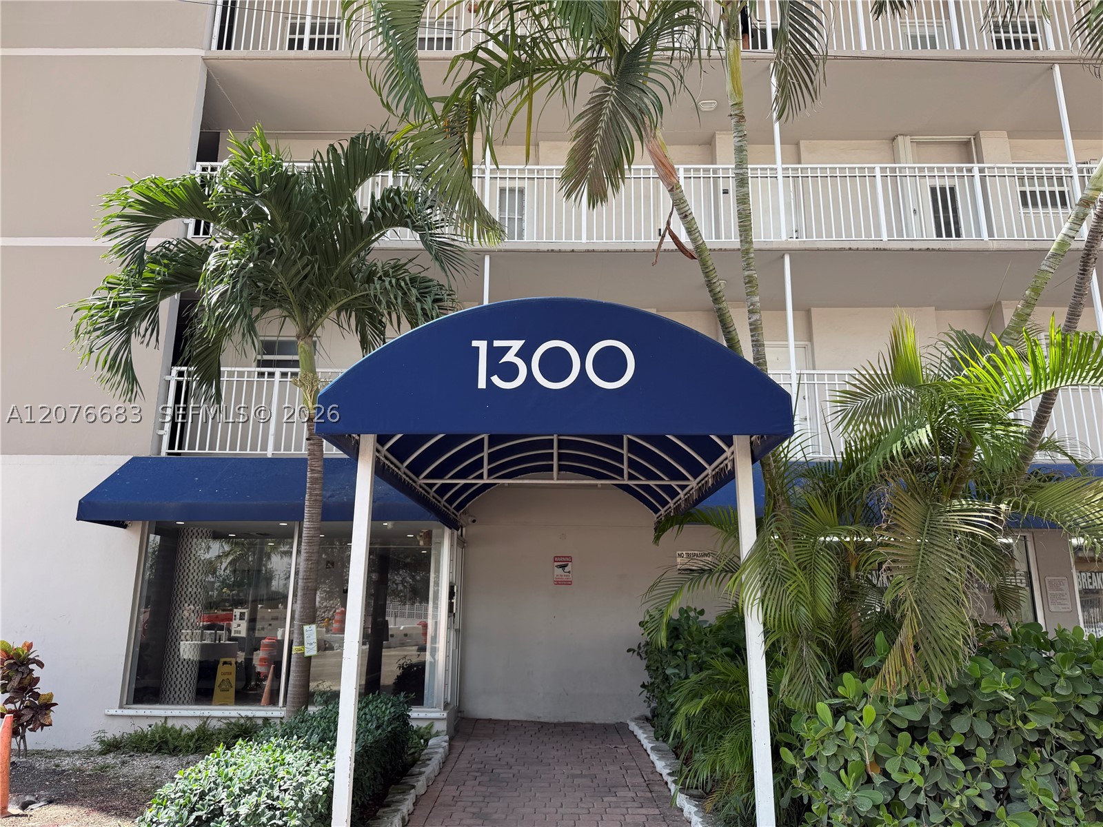 Miami Beach photo 5