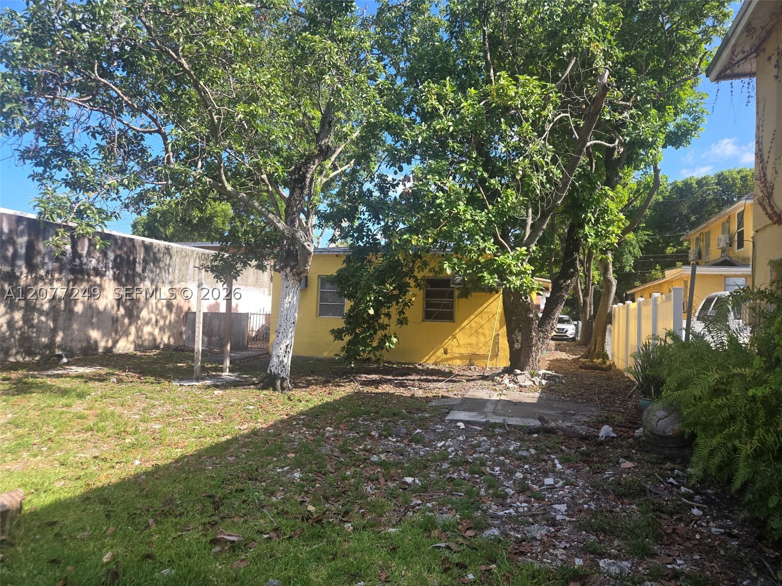 Miami photo 2
