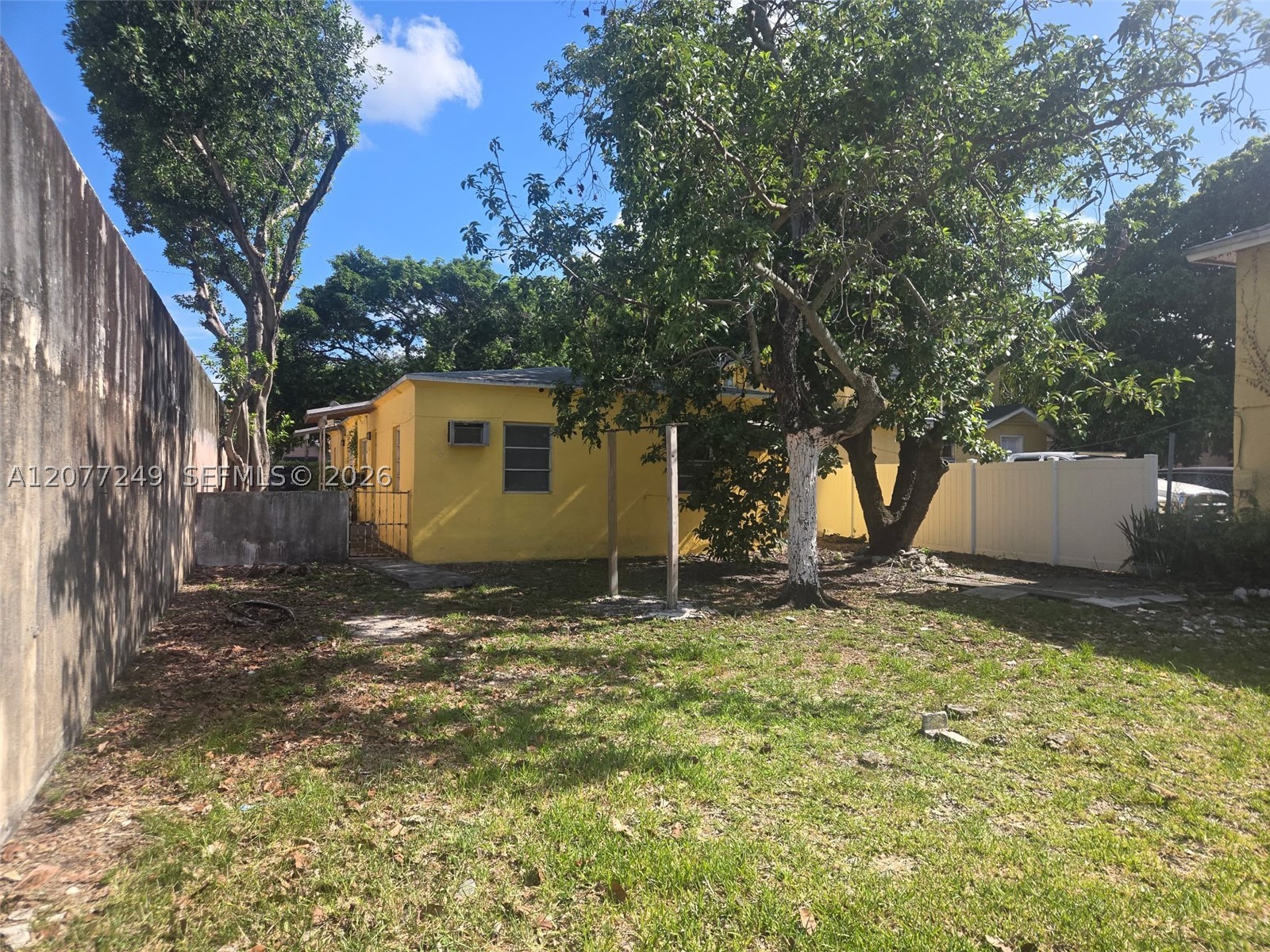 Miami photo 3