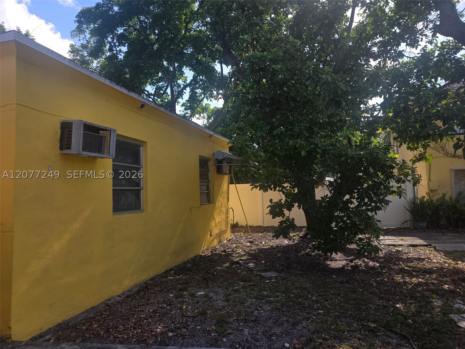 Miami photo 4