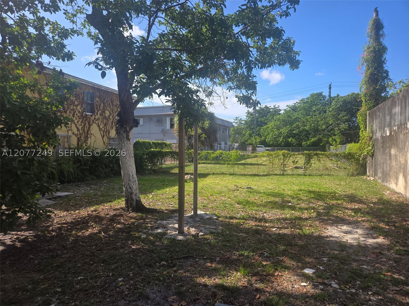 Miami photo 5