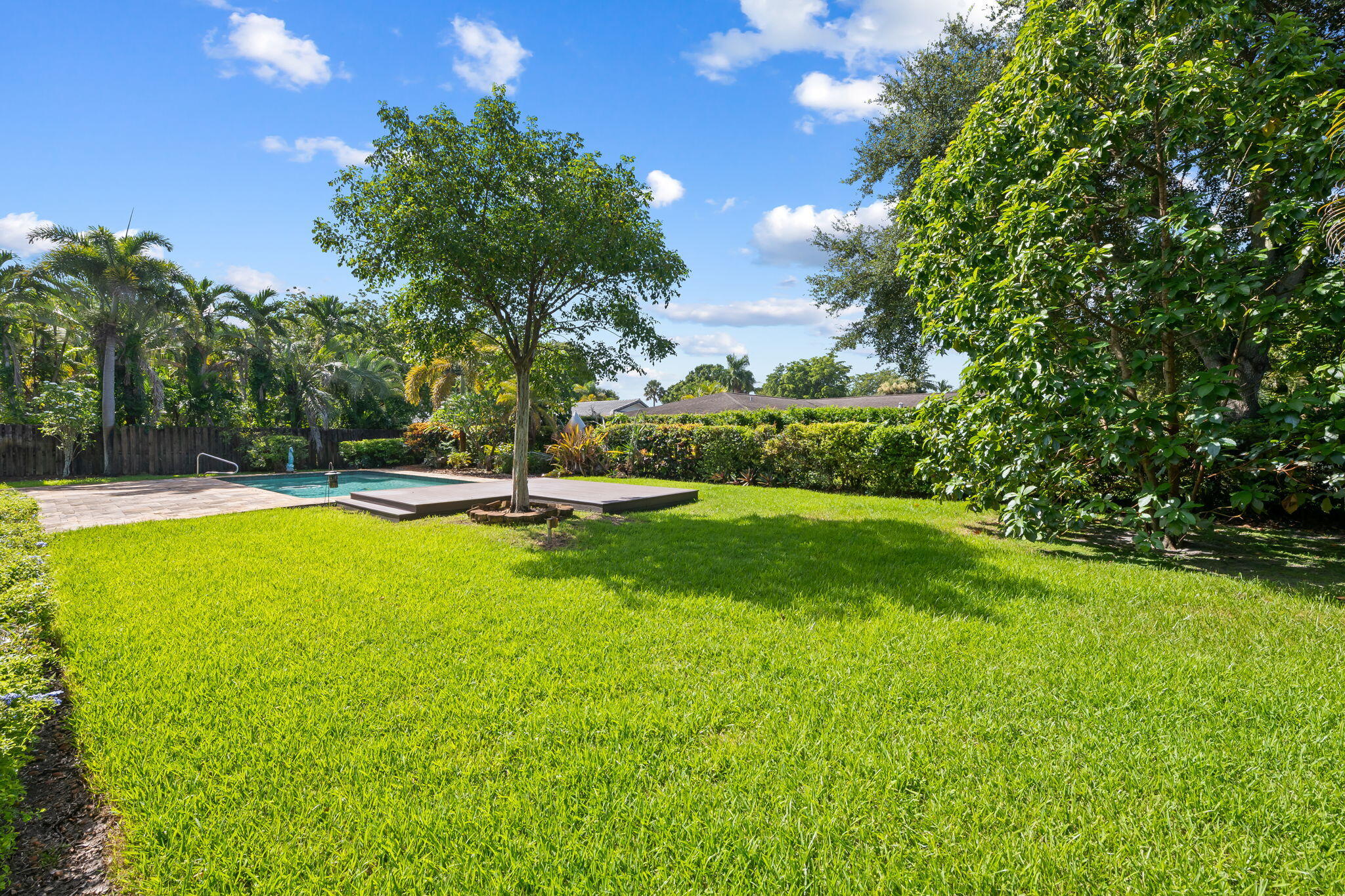 Plantation photo 4
