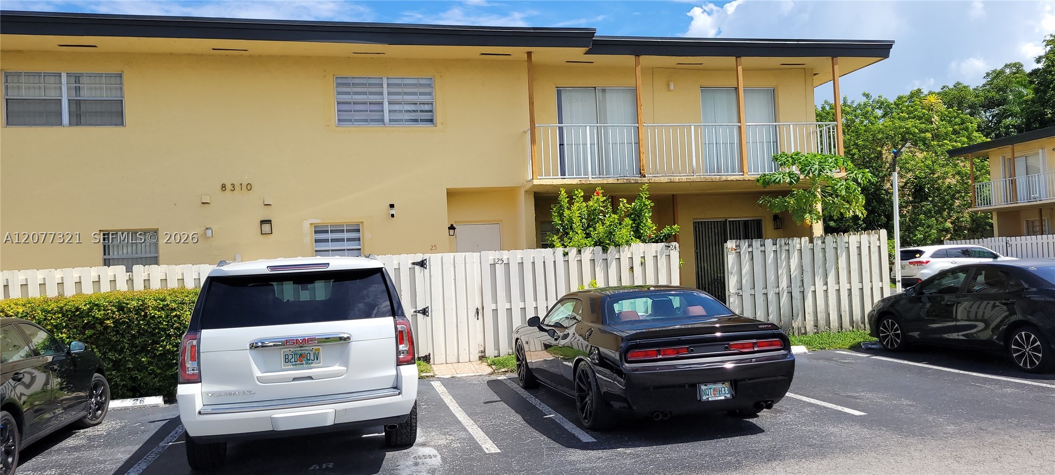 Miami photo 2