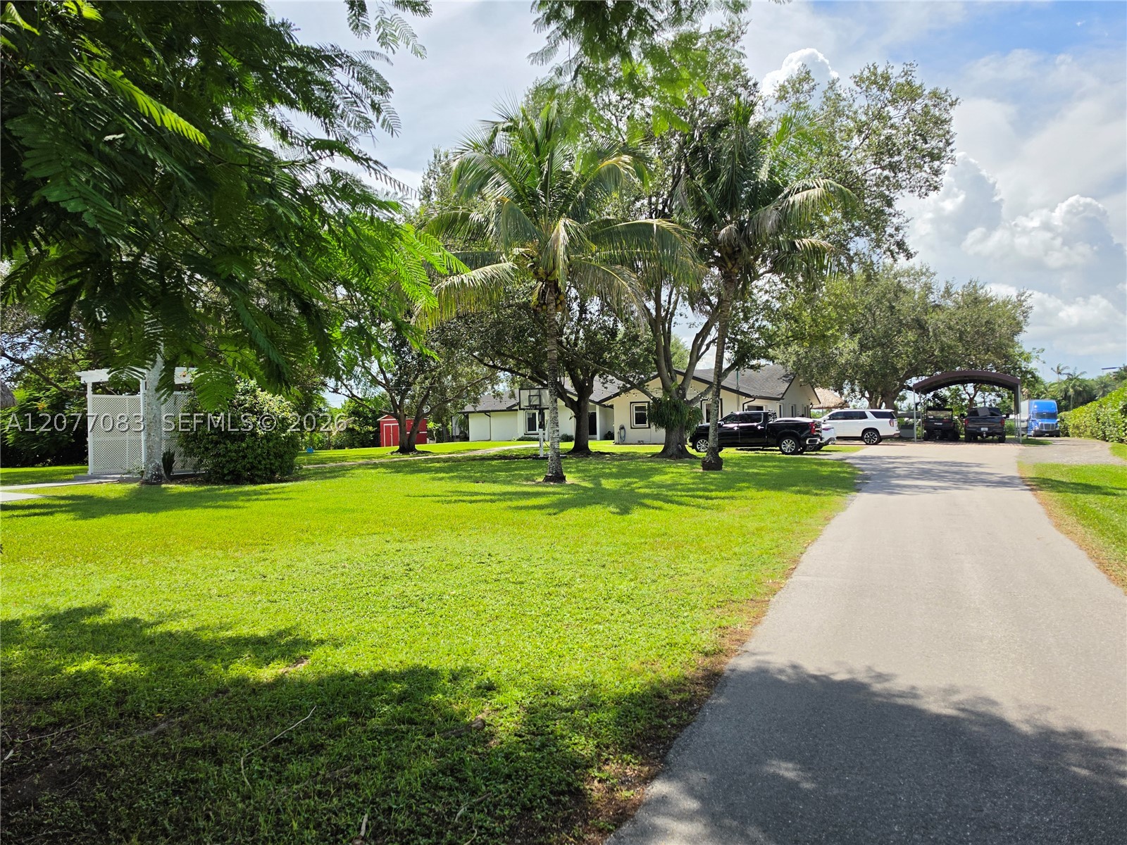 Miami photo 5