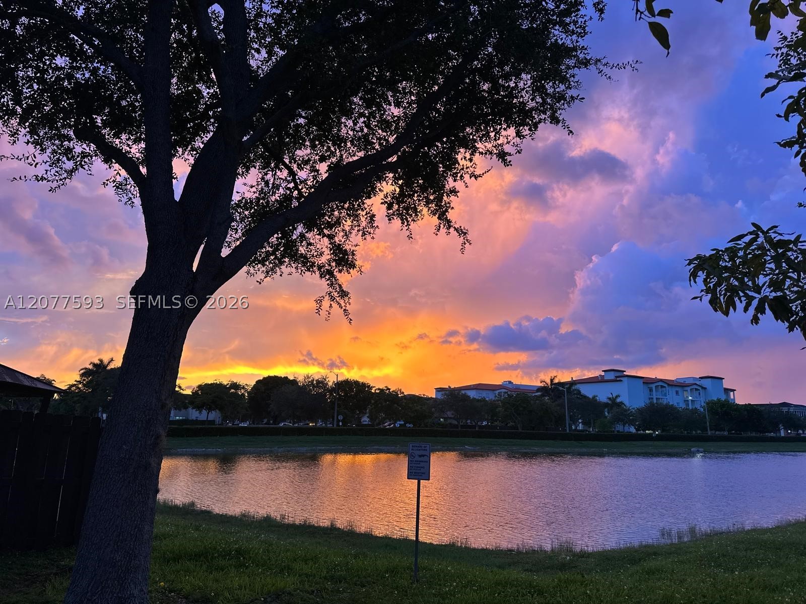 Doral photo 4