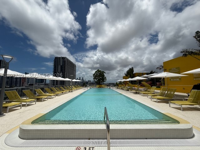 Miami photo 5