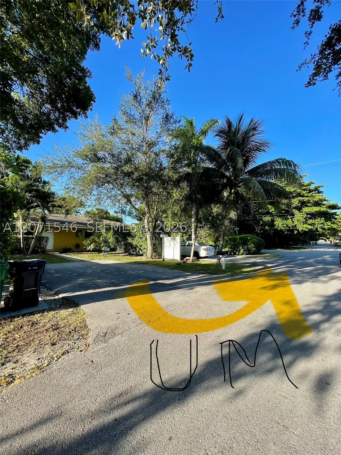 Miami photo 3