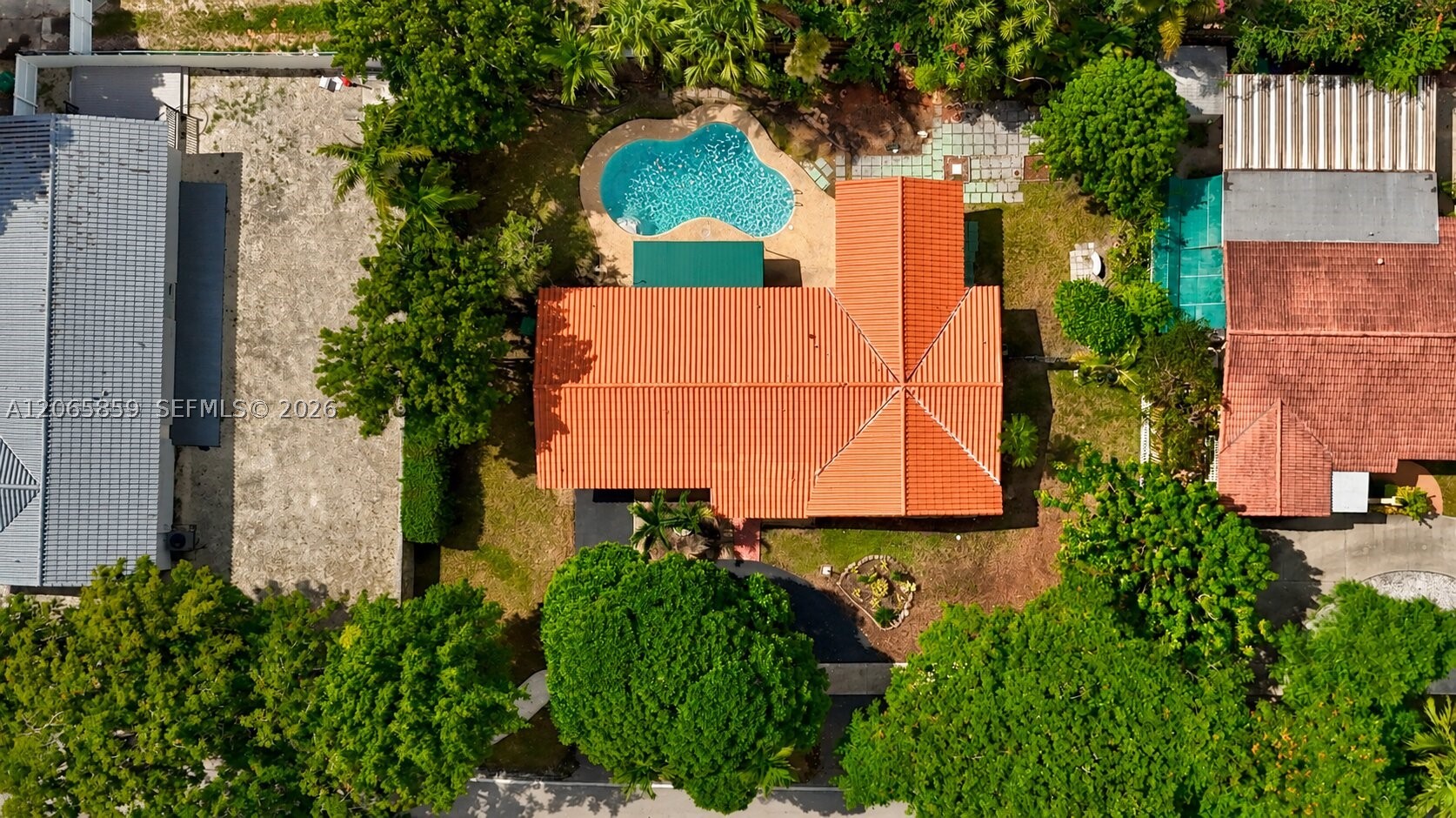 Miami photo 3