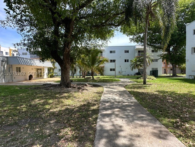 Miami photo 2