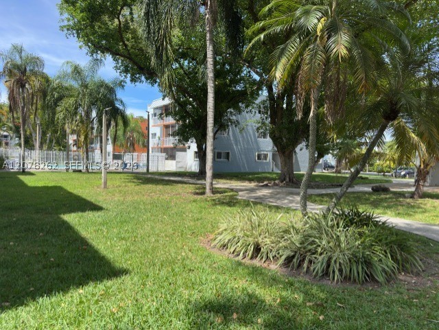 Miami photo 3