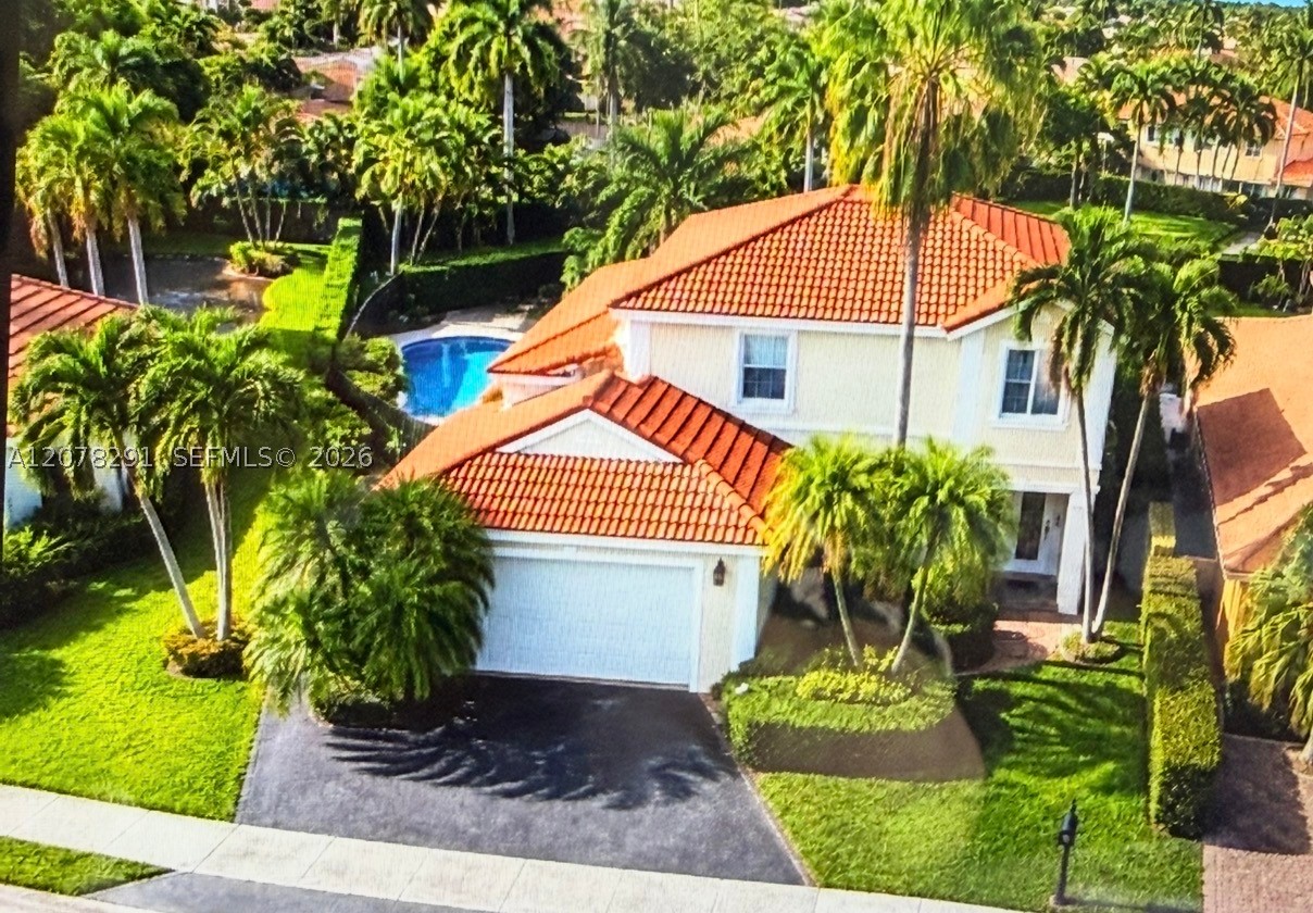 Miami photo 4