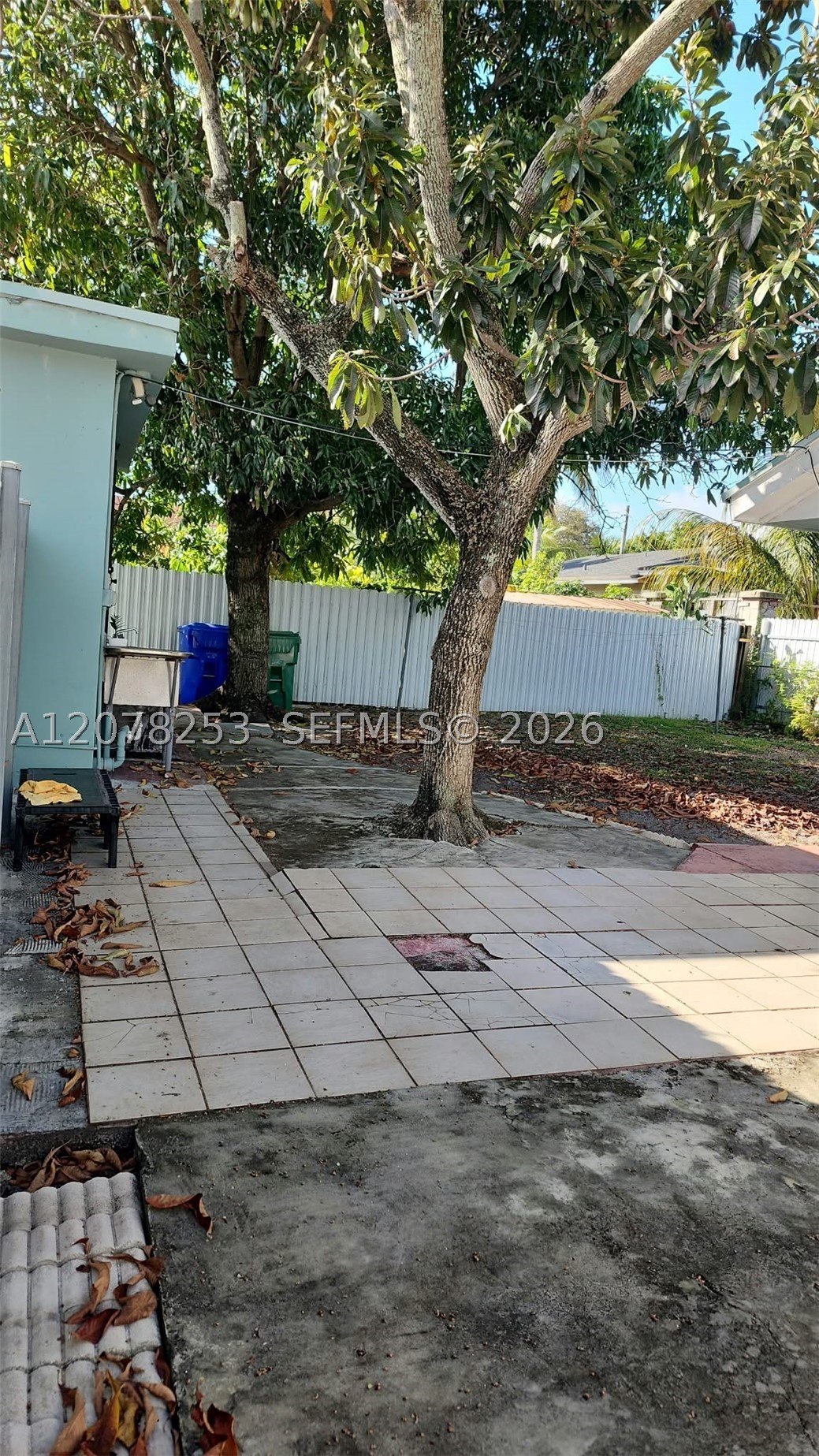 Miami photo 3