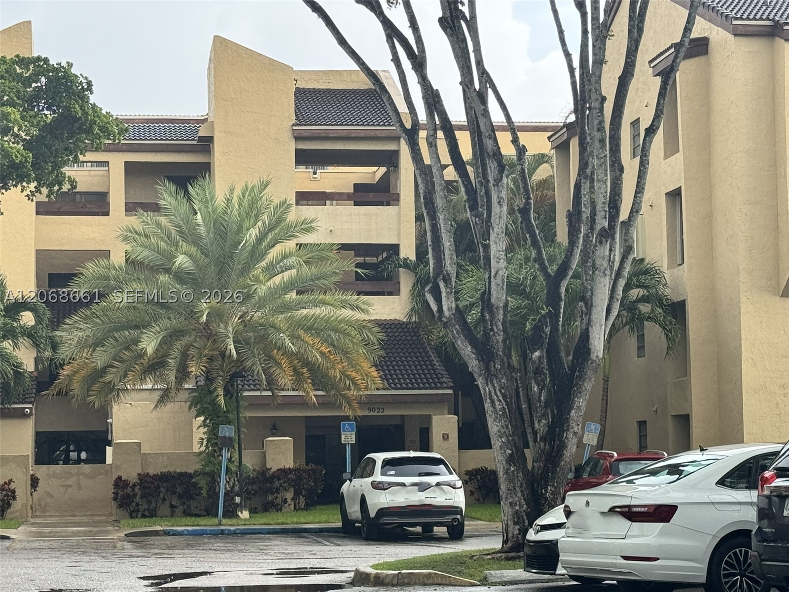 Miami photo 1
