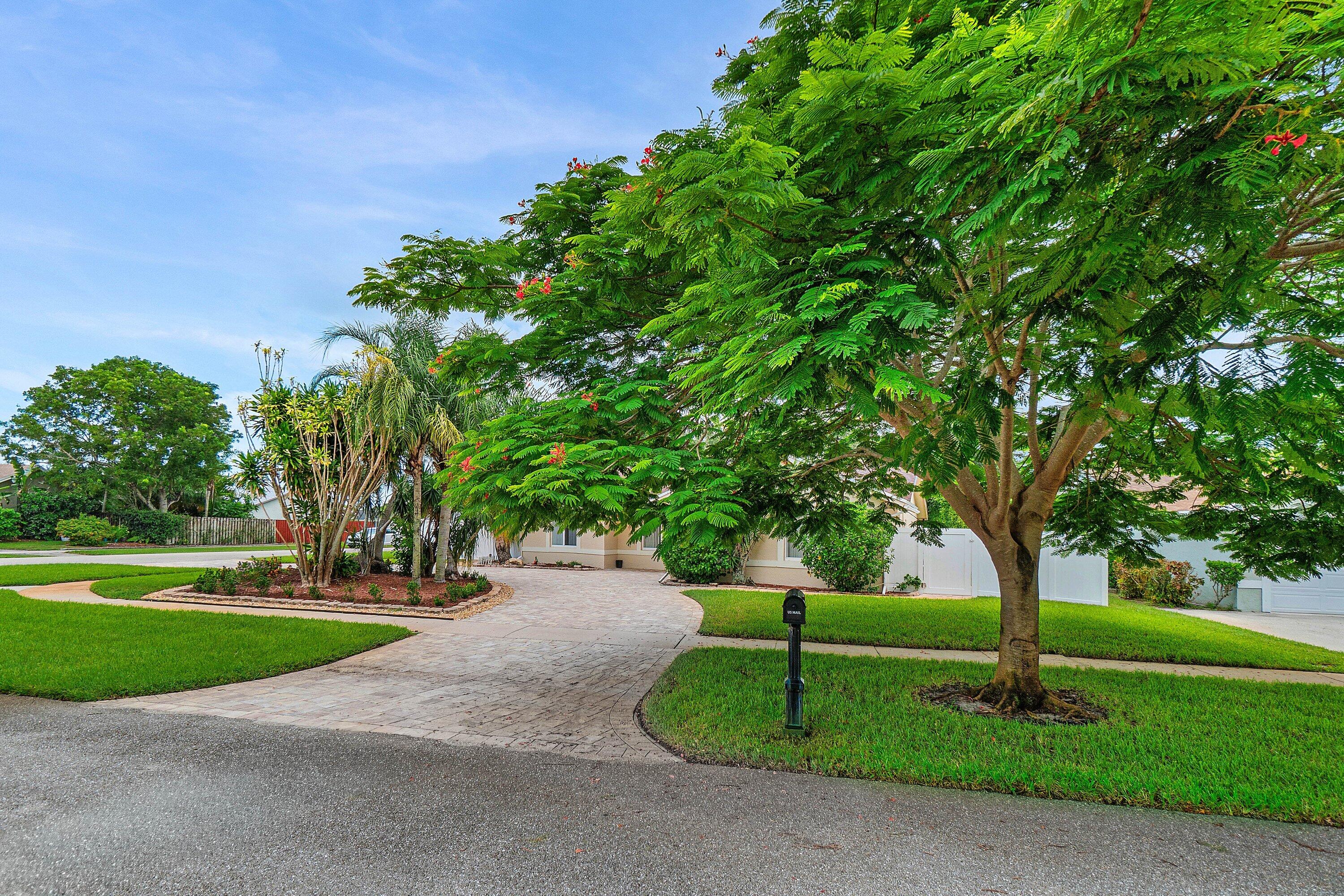Boca Raton photo 5