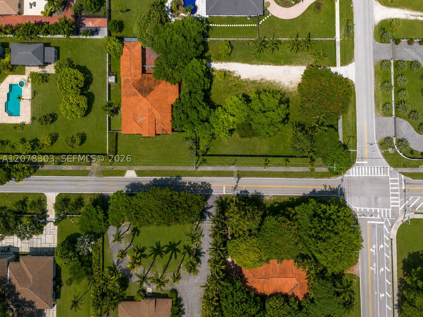 Miami photo 3