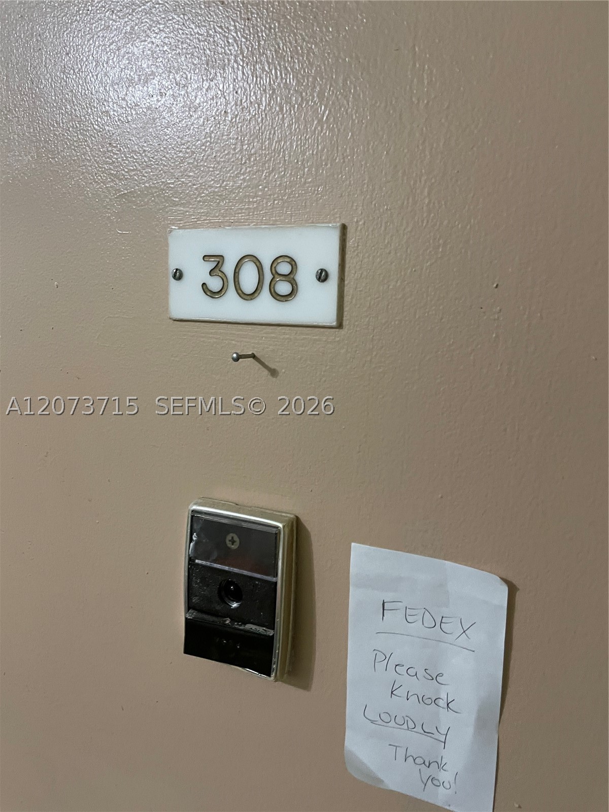 Miami photo 3