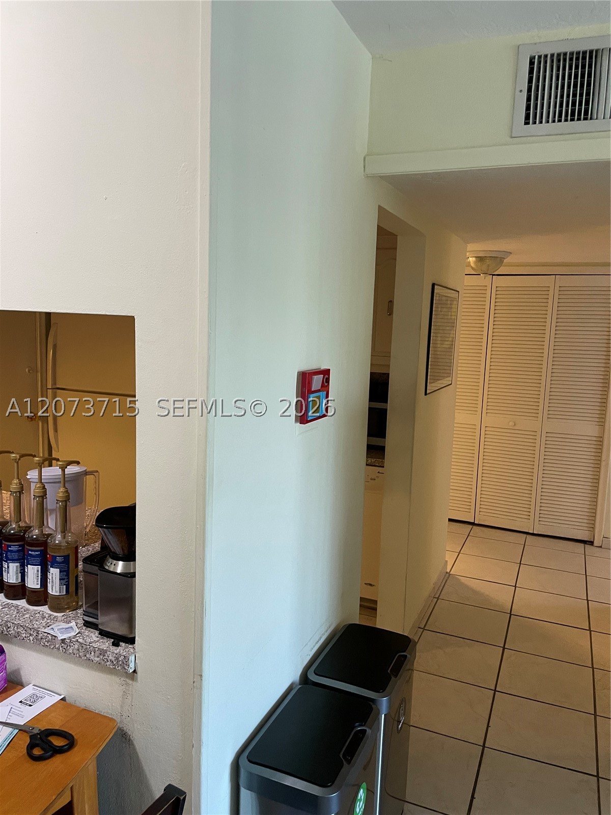 Miami photo 5