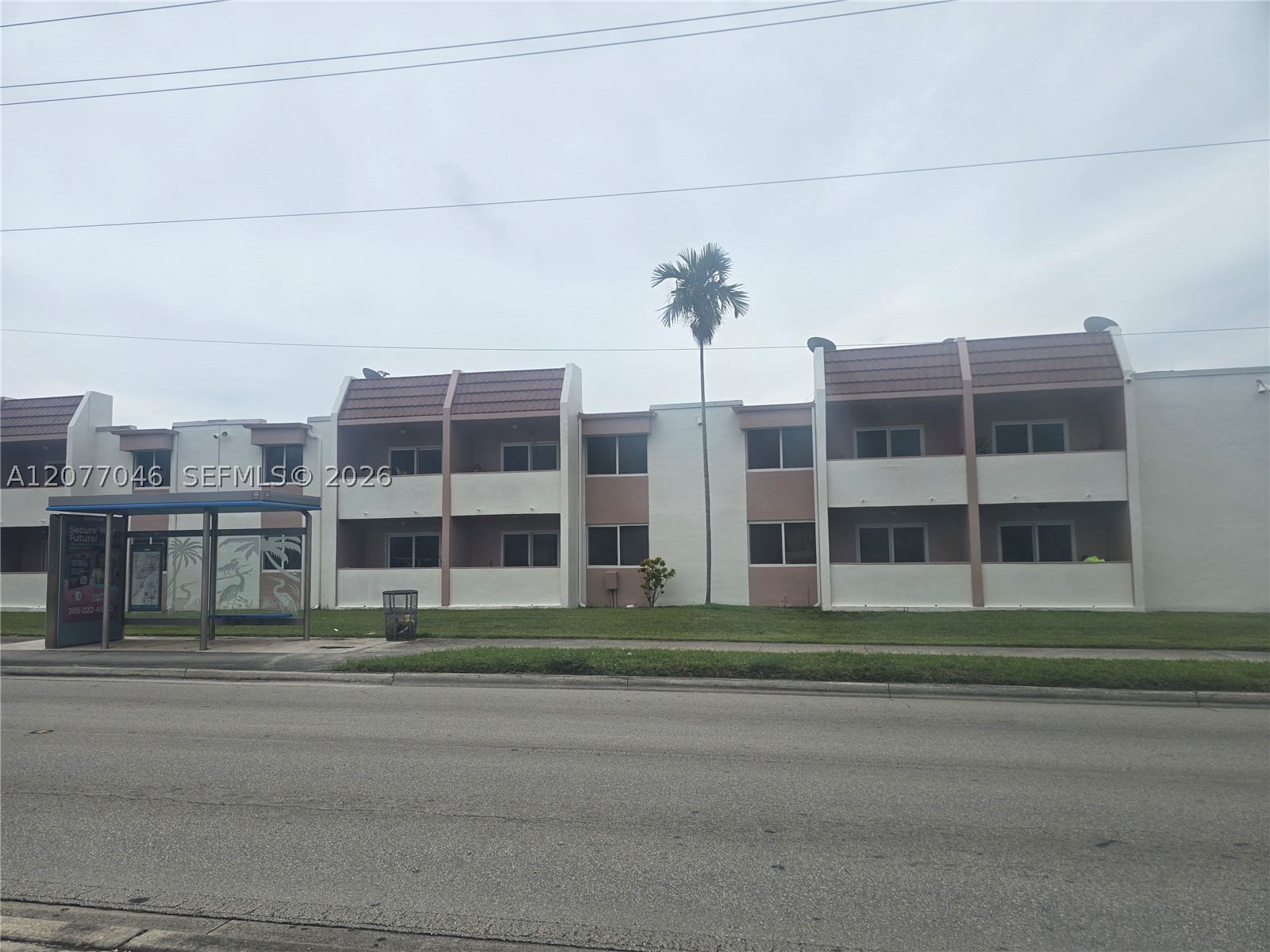 Miami photo 1