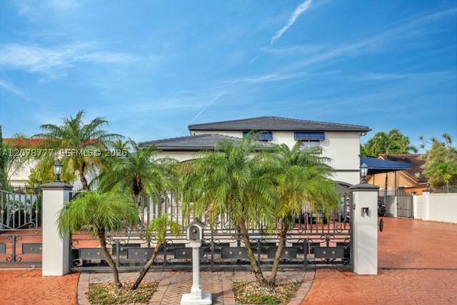 Miami photo 3