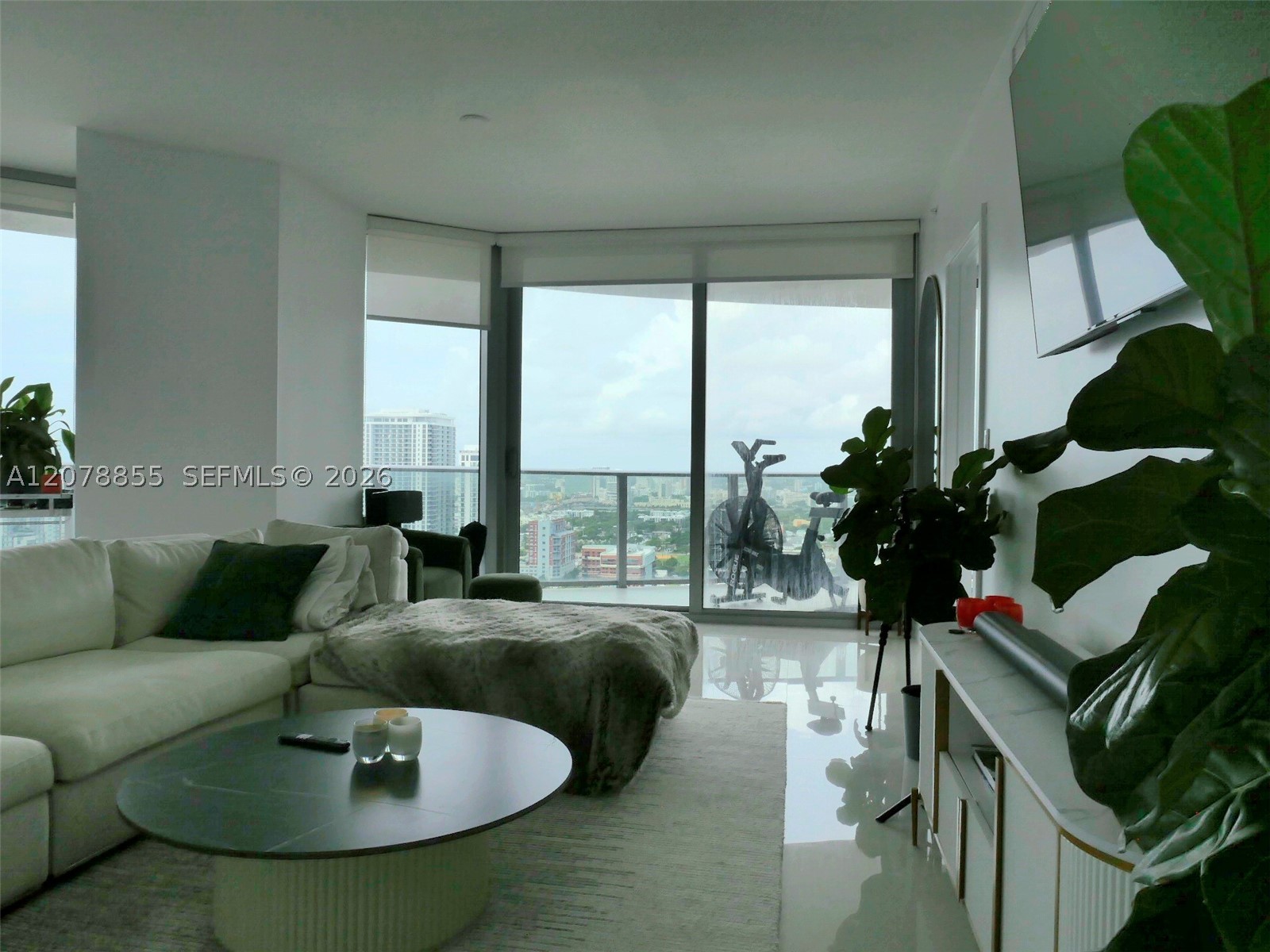 Miami photo 5