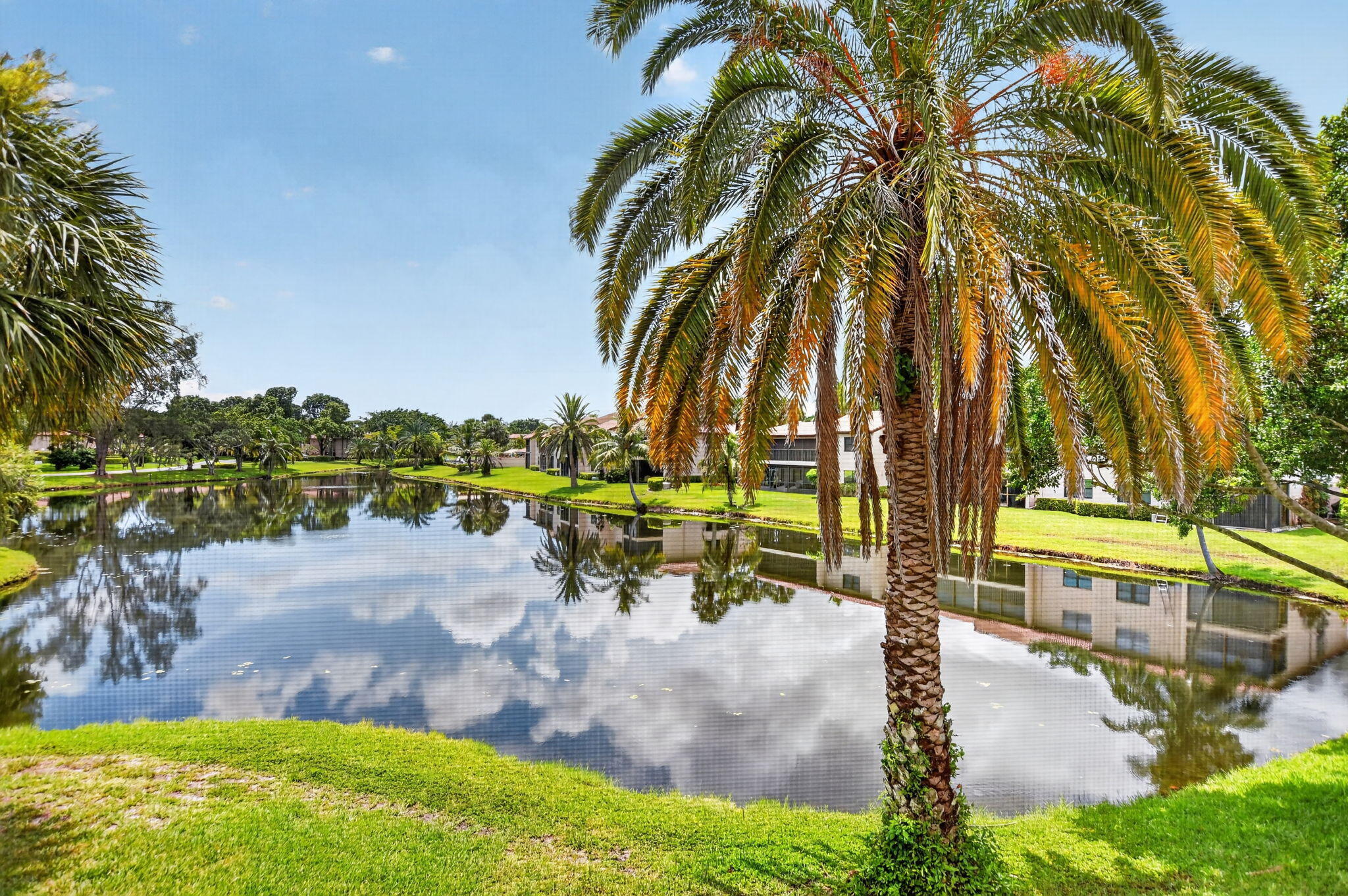 Boca Raton photo 4