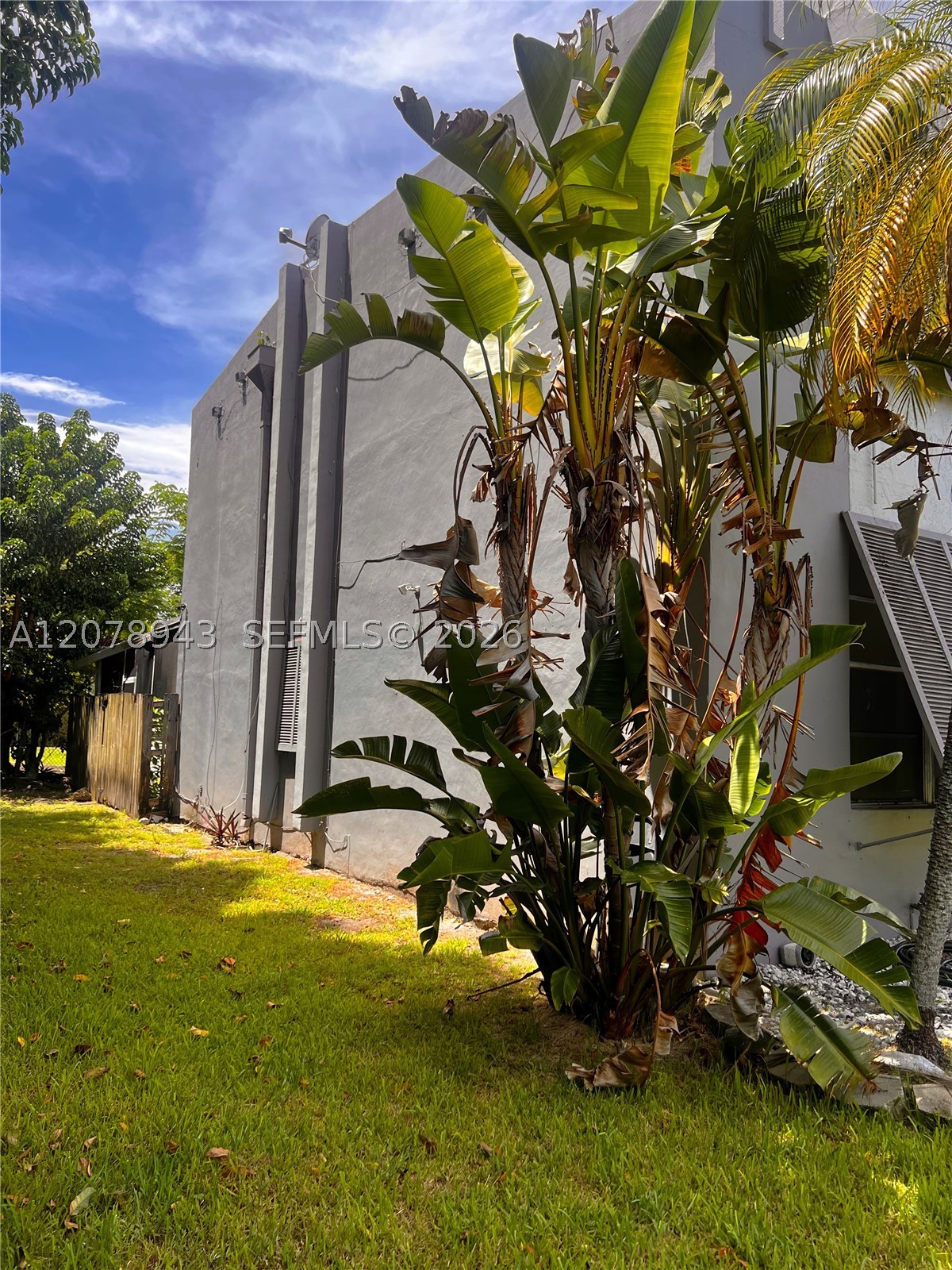 Miami photo 3