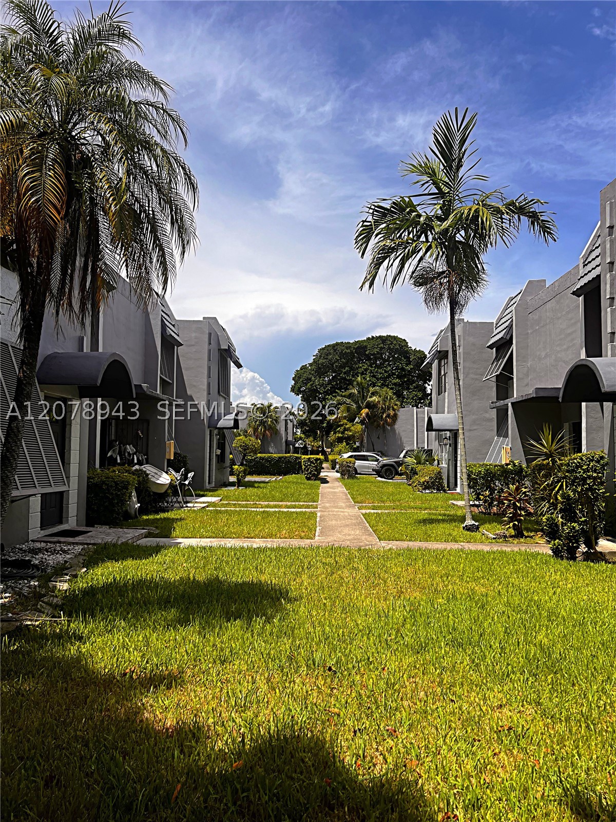 Miami photo 2