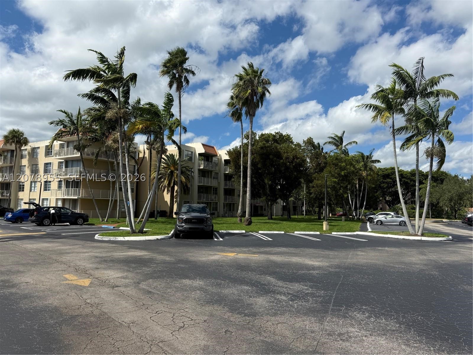 Miami photo 1