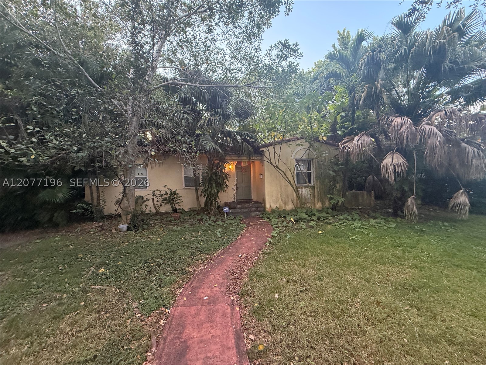 Miami Shores photo 1