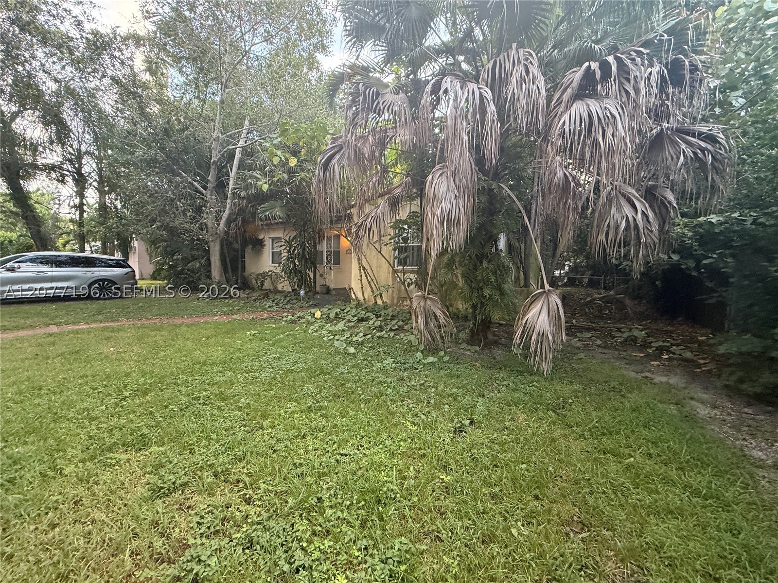 Miami Shores photo 4