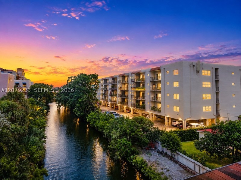 Miami photo 2