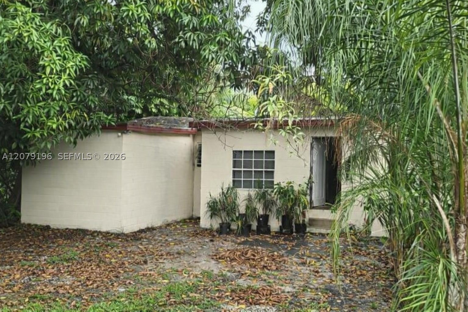 Miami photo 5