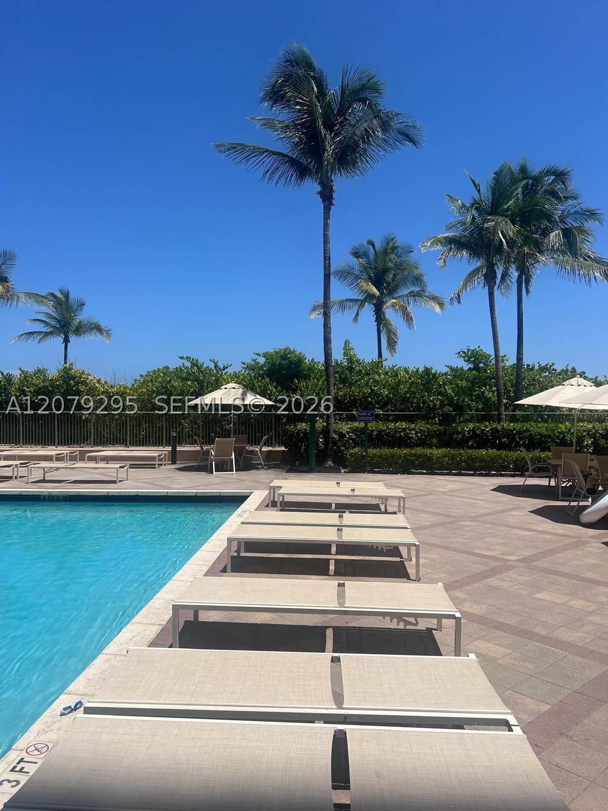 Hallandale Beach photo 4