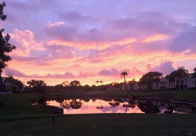 Boca Raton photo 5