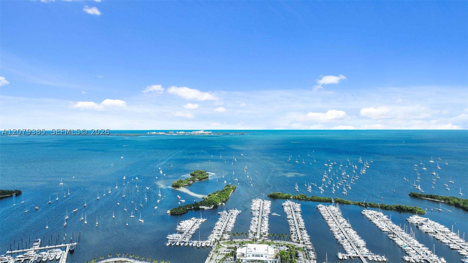 Miami photo 5