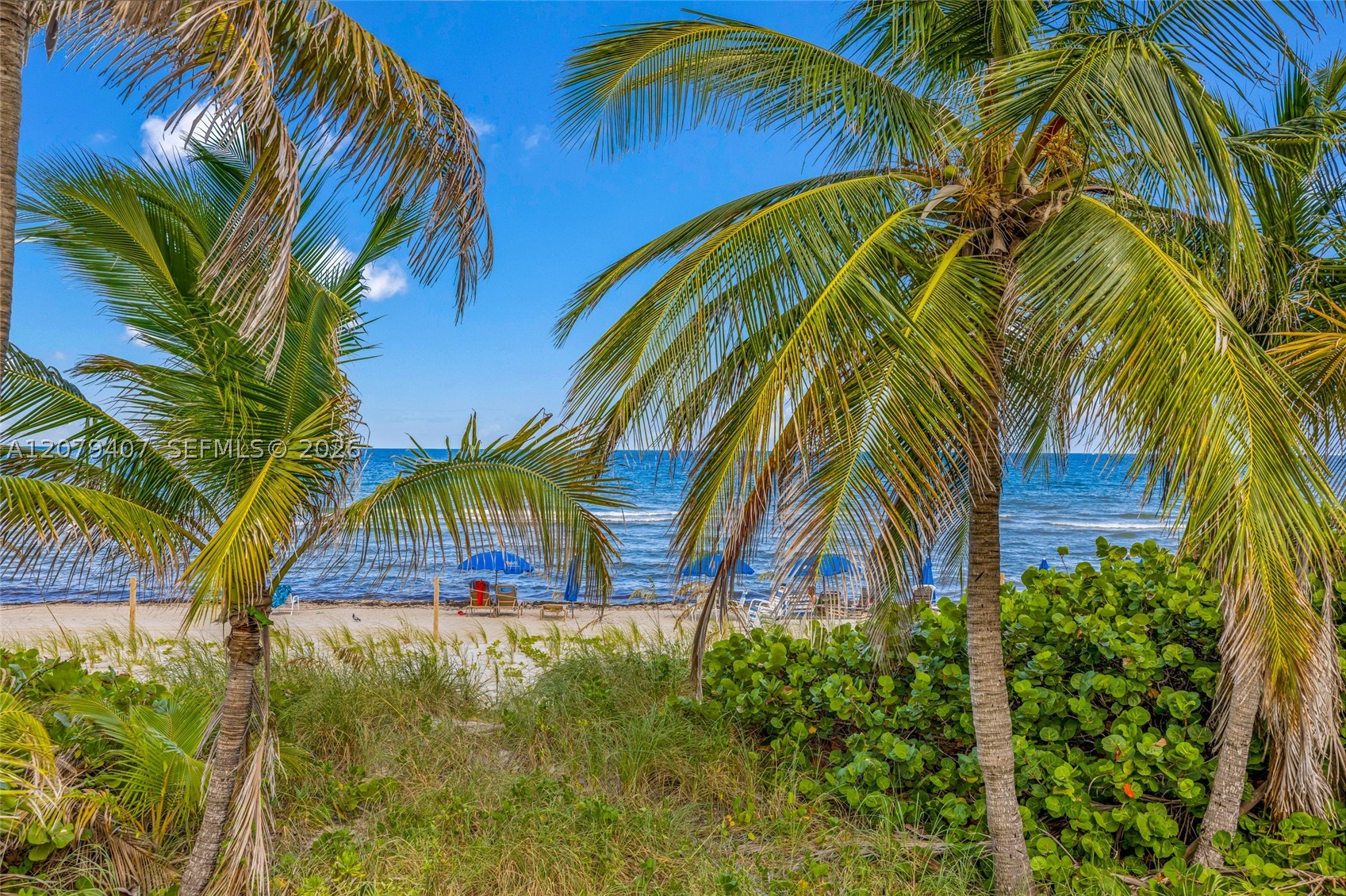 Hallandale Beach photo 1